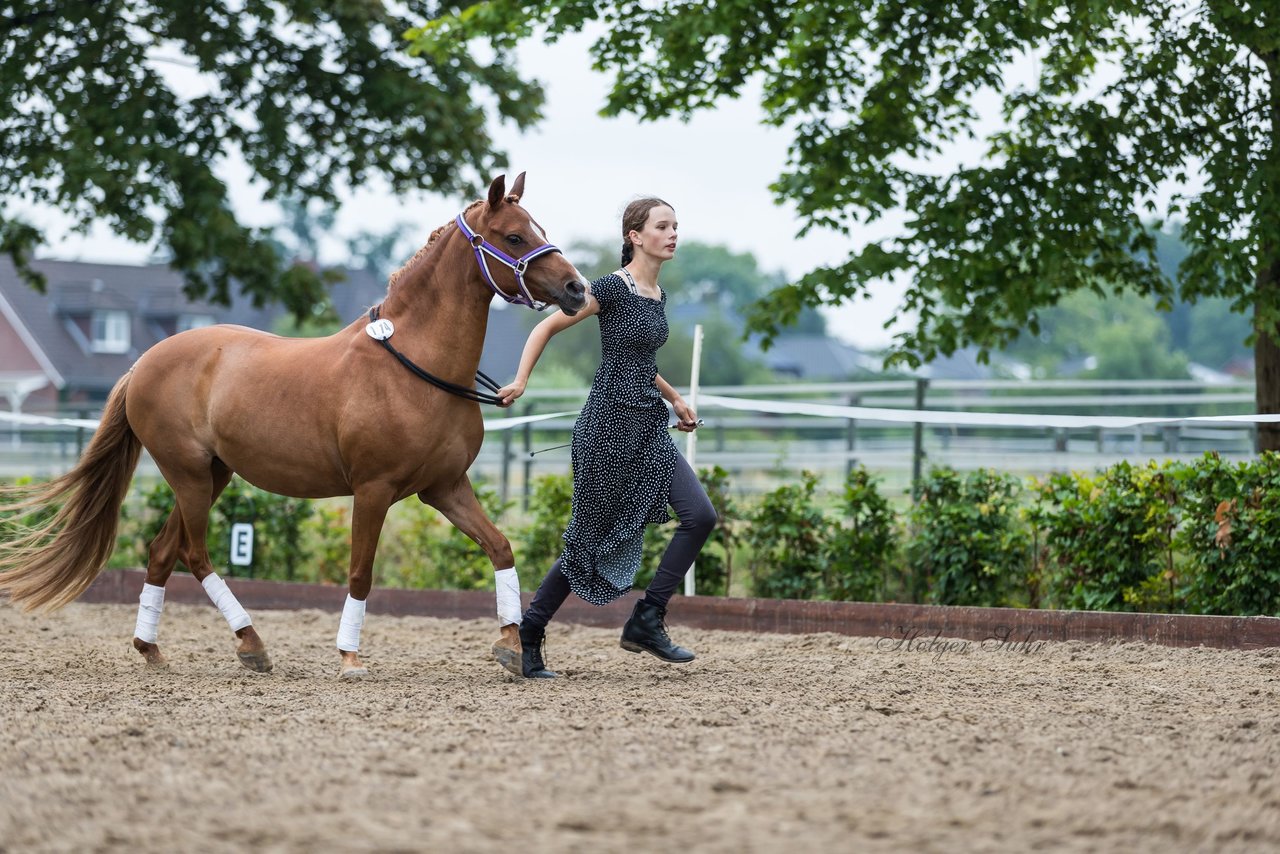 Bild 143 - Pony Akademie Turnier
